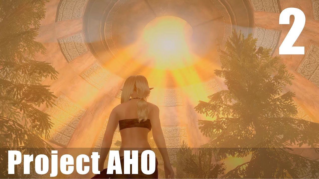 project aho review